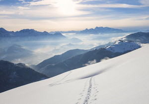 宝塔面板教程之主界面管理篇