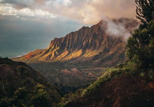 安装DragonflyDB内存数据存储以提升网站性能